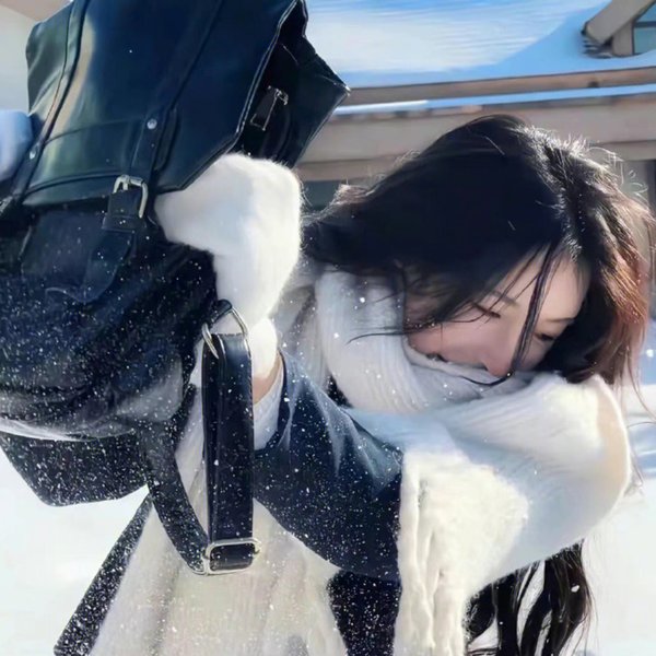 猛虎屠龙